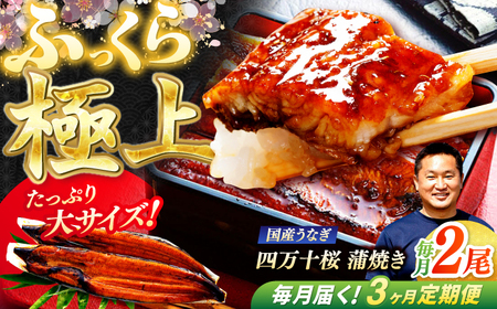 【3回定期便】極上国産うなぎ四万十桜 蒲焼き2尾 たっぷり大サイズ / 国産 高知 四万十 うなぎ ウナギ 鰻 蒲焼き うな重 惣菜 贅沢 【有限会社もりた】[ATHE005]