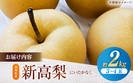 【先行予約】 新高梨 約2kg（3~4玉） 〈2026年9月20日~10月末発送〉 / 高知 針木 新高梨 梨 和梨 果物 フルーツ デザート 【川渕果樹園】[ATHX001]