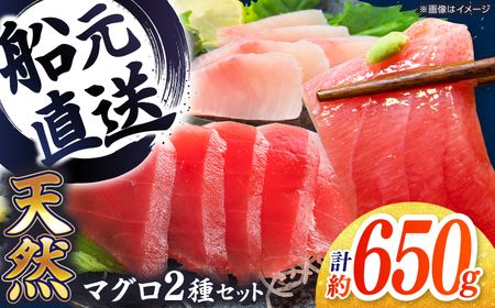 厳選 天然 マグロ 2種セット（計約650g） / 高知 魚介 海鮮 鮮魚 魚 マグロ まぐろ 鮪 新鮮 天然 刺身 寿司 セット 【株式会社Dorago】[ATAM054]
