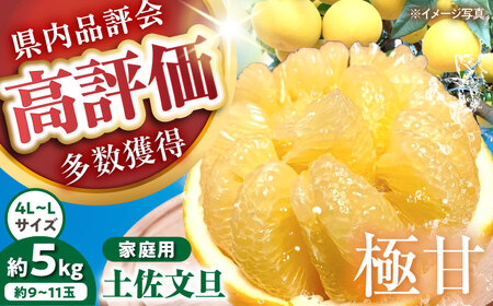 【先行予約】 千光士農園の土佐文旦 約5kg 家庭用 〈2026年2月中旬より発送〉 / 文旦 ぶんたん ブンタン 土佐文旦 柑橘 果物 フルーツ デザート 春 期間限定 季節限定 土佐 高知 【株式会社Dorago】[ATAM062]