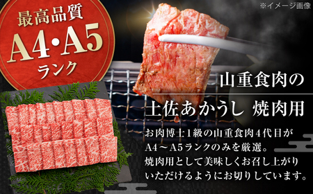 土佐あかうし　焼肉 約800g / やわらか ヘルシー うま味凝縮 【(有)山重食肉】[ATAP182]
