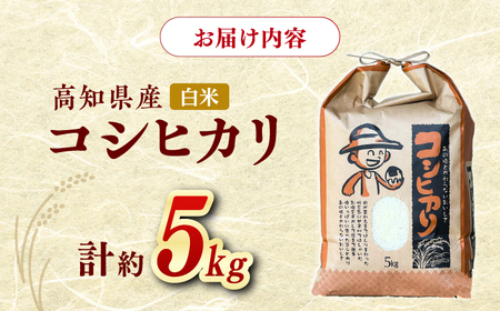 新米 R7年度産 花屋が作ったお米（約5kg）/ 米 お米 ご飯 白米 食品 炊飯 グルメ 【見元園芸】[ATHY004]