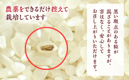 新米 R7年度産 花屋が作ったお米（約3kg）/ 米 お米 ご飯 白米 食品 炊飯 グルメ　【見元園芸】[ATHY005]