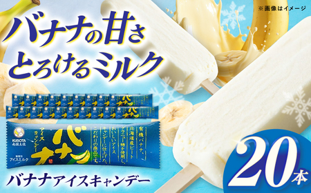 久保田食品 バナナアイスキャンデー 20本入 添加物不使用 / アイス アイスキャンデー アイスクリーム 冷凍 バナナ 果物 フルーツ セット デザート スイーツ 【グレイジア株式会社】[ATAC598]