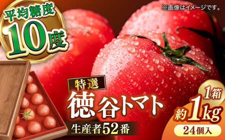 【先行予約】プレミアム徳谷トマト約1kg 24個入り 生産者52番 (ウォールナットケース入り) 〈2026年1月中旬?2026年5月下旬頃発送〉/ フルーツトマト とまと フルーツ 果物 季節もの 【フルーツショップオザキ】[ATAH001]
