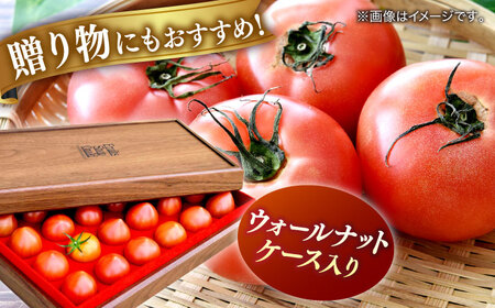 【先行予約】プレミアム徳谷トマト約1kg 24個入り 生産者52番 (ウォールナットケース入り) 〈2026年1月中旬?2026年5月下旬頃発送〉/ フルーツトマト とまと フルーツ 果物 季節もの 【フルーツショップオザキ】[ATAH001]