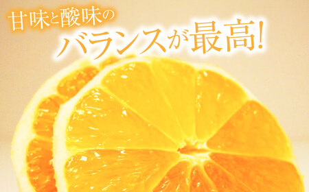 【先行予約】土佐小夏 Mサイズ 約5kg 36個前後〈2026年4月中旬-2026年7月中旬頃発送〉/ 日向夏 みかん ニューサマーオレンジ 柑橘 フルーツ こなつ 小夏 果物 特産 5キロ 高知県【フルーツショップオザキ】 [ATAH005]