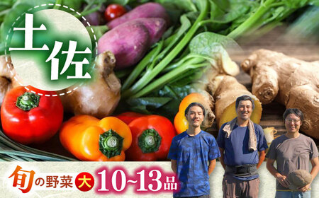 【最速発送】土佐の太陽をいっぱいに浴びた旬の野菜セット「大」【土佐野菜】 [ATBA002]　スピード 最短 最速 発送 春 春野菜 旬野菜 野菜詰め合わせ