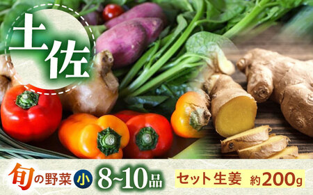 土佐の太陽をいっぱいに浴びた旬の野菜生姜約200gのセット「小」【土佐野菜】 [ATBA003]スピード 最短 最速 発送 春 春野菜 旬野菜 野菜詰め合わせ