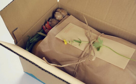 土佐の太陽をいっぱいに浴びた旬の野菜生姜約200gのセット「小」【土佐野菜】 [ATBA003]スピード 最短 最速 発送 春 春野菜 旬野菜 野菜詰め合わせ