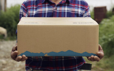 定期便 土佐の太陽をいっぱいに浴びた旬の野菜セット小 (12回配送) / 野菜 やさい 定期便 12回 セット 詰め合わせ 朝採れ 新鮮 旬 無農薬 レシピ 冷蔵 高知 土佐 【土佐野菜】 [ATBA007]