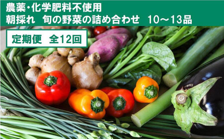 【12回定期便】土佐の太陽をいっぱいに浴びた旬の野菜セット「大」土佐野菜】 [ATBA010]