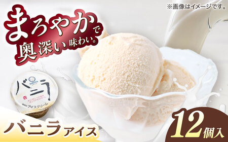 バニラアイスクリーム　12個入 | 久保田食品  アイス 添加物不使用