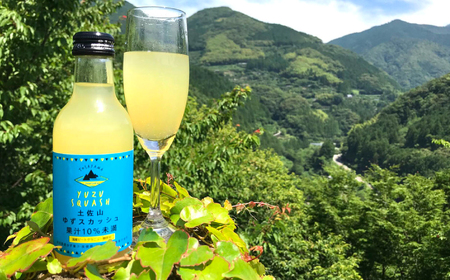 土佐山ゆずスカッシュM　6本セット 【一般財団法人夢産地とさやま開発公社】[ATBH001]