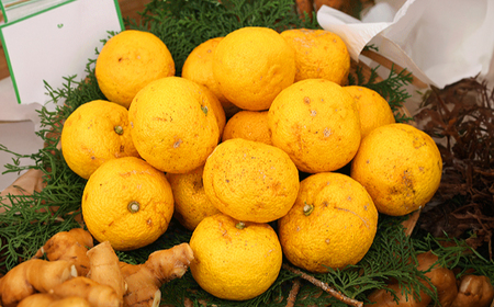 土佐山ゆずスカッシュM　6本セット 【一般財団法人夢産地とさやま開発公社】[ATBH001]