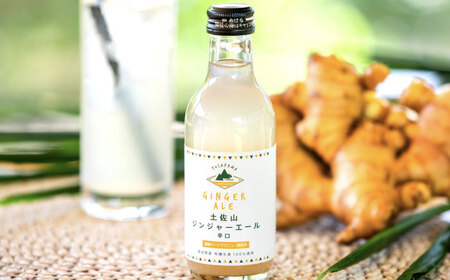 【最速発送】土佐山ジンジャエール辛口M(200ml) 6本入り 【一般財団法人夢産地とさやま開発公社】 [ATBH006]　スピード 最短 最速 発送