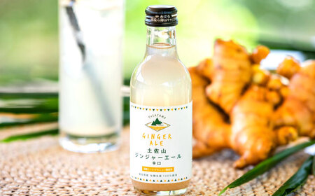 【最速発送】土佐山ジンジャエール辛口Mセット（200ｍｌ×4本）【一般財団法人夢産地とさやま開発公社】 [ATBH012]　スピード 最短 最速 発送