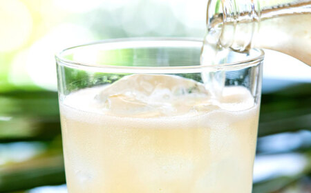 【最速発送】土佐山ジンジャエール辛口Mセット（200ｍｌ×4本）【一般財団法人夢産地とさやま開発公社】 [ATBH012]　スピード 最短 最速 発送