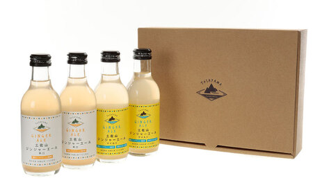 【最速発送】土佐山ジンジャエール辛口・マイルドセット（200ｍｌ×計4本）【一般財団法人夢産地とさやま開発公社】 [ATBH014]　スピード 最短 最速 発送