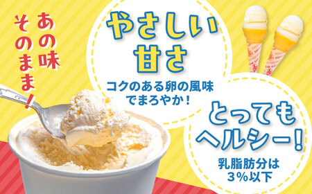 高知自慢 1×1＝1のアイスクリン 1L入り2個 【SHOP KEYYA】 [ATAO003] アイス アイスクリン