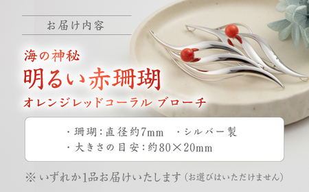 珊瑚ブローチ (1点) 【有限会社米沢サンゴ店】 [ATCX007]