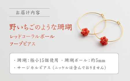 珊瑚のフープピアスボール 【有限会社米沢サンゴ店】 [ATCX025]