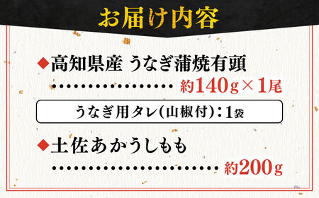【最速発送】「土佐の山 川」 高知県産うなぎ蒲焼と土佐あかうしももセット 【株式会社Dorago】 [ATAM010]　スピード 最短 最速 発送