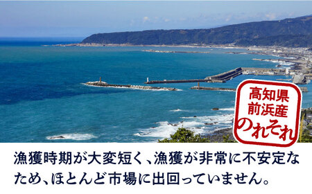 のれそれ 高知県高知市 ふるさと納税サイト ふるなび