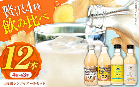 【最速発送】土佐山ジンジャーエール 飲み比べ4種セットA (200ml×12本入り)【一般財団法人夢産地とさやま開発公社】 [ATBH007]　スピード 最短 最速 発送