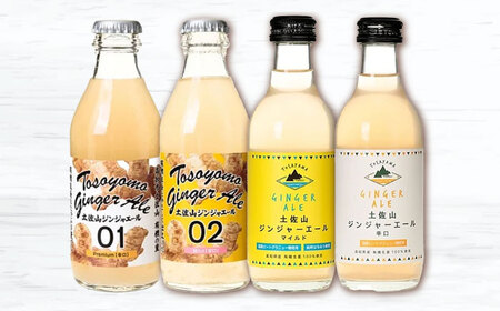 【最速発送】土佐山ジンジャーエール 飲み比べ4種セットA (200ml×12本入り)【一般財団法人夢産地とさやま開発公社】 [ATBH007]　スピード 最短 最速 発送