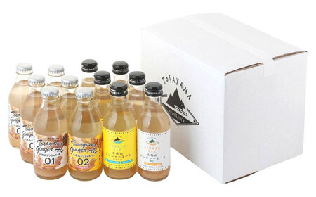 【最速発送】土佐山ジンジャーエール 飲み比べ4種セットA (200ml×12本入り)【一般財団法人夢産地とさやま開発公社】 [ATBH007]　スピード 最短 最速 発送