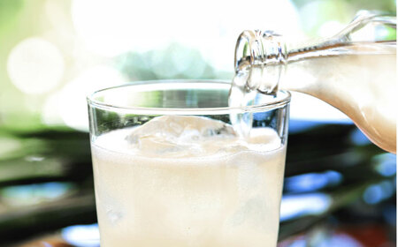 【最速発送】土佐山ジンジャーエール 飲み比べ4種セットA (200ml×12本入り)【一般財団法人夢産地とさやま開発公社】 [ATBH007]　スピード 最短 最速 発送