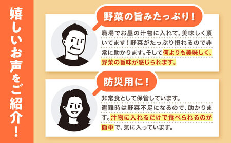 高知乾燥野菜ミックス 約100g×1袋 【グレイジア株式会社】 [ATAC519]