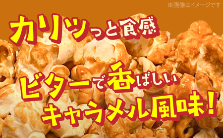 現代人にマッチしたグーな味！「マックのキャラメルポップコーン」 10袋セット【あぜち食品】 [ATCC005]