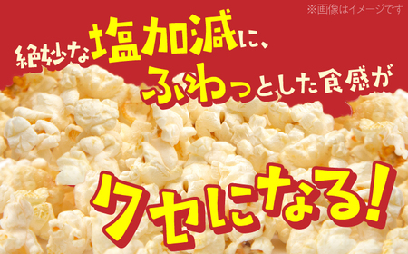 現代人にマッチしたグーな味！「マックのポップコーン 」11袋セット（アレルギーフリー） [ATCC006]