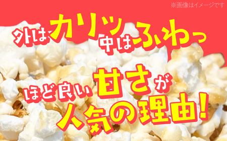 現代人にマッチしたグーな味！「マックのシュガーコーン 」10袋セット（アレルギーフリー）【あぜち食品】 [ATCC007]
