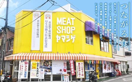 お肉の定期便　高知県牛肉祭り　(3か月)