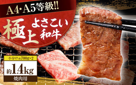 高知県産　よさこい和牛　焼肉用(約1.4kg)【小分け:約700g×2】