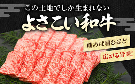 高知県産　よさこい和牛　焼肉用(約1.4kg)【小分け:約700g×2】