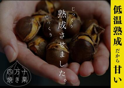 【先行予約】 熟成四万十栗焼き栗の詰め合わせ (約150g×7袋入り) 〈2025年11月5日?2026年4月30日発送〉 / 栗 くり クリ 焼き栗 熟成 秋の味覚 秋 詰め合わせ 高知 四万十 【株式会社いちじゃもの】 [ATCB004]