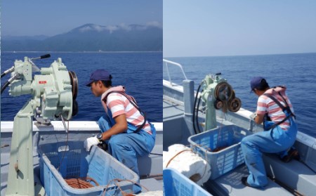 室戸からの招待状「海来に乗船していざ深海生物漁業体験」試食付 _ma003