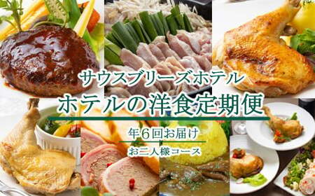 【ホテルメイドの洋食惣菜】お肉コース定期便！！年６回お届け【お二人様向け】_sb019