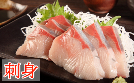 室戸産天然ぶりまるごと１匹（５ｋｇ～）下処理不可