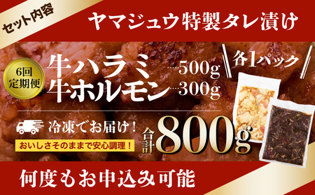 ヤマジュウの特選タレ漬け!牛ハラミ肉&国産牛ホルモン計800g【6回定期便】 頒布会
