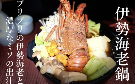 活伊勢海老 (軍手付き) 2～7尾 約2kg【イセエビ 伊勢海老】