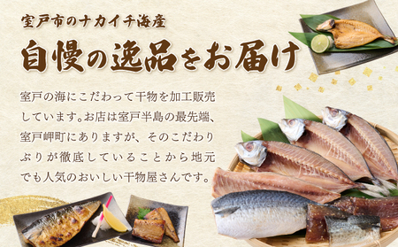 【ふるさと納税】ナカイチ海産！人気干物３種類詰め合わせセット 干物 あじ アジ サバ さば おかず 冷凍 5000円 送料無料 nk036