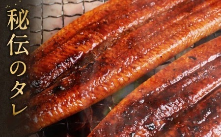 ヤマジュウ厳選! うなぎ 2尾 合計350g～360g 約175g～180g×2 タレ付き ウナギ 鰻 蒲焼き かば焼き 加工品 魚 魚介類 送料無料 yj006