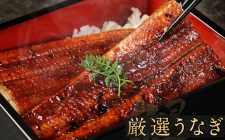 ヤマジュウ厳選! うなぎ 2尾 合計350g～360g 約175g～180g×2 タレ付き ウナギ 鰻 蒲焼き かば焼き 加工品 魚 魚介類 送料無料 yj006