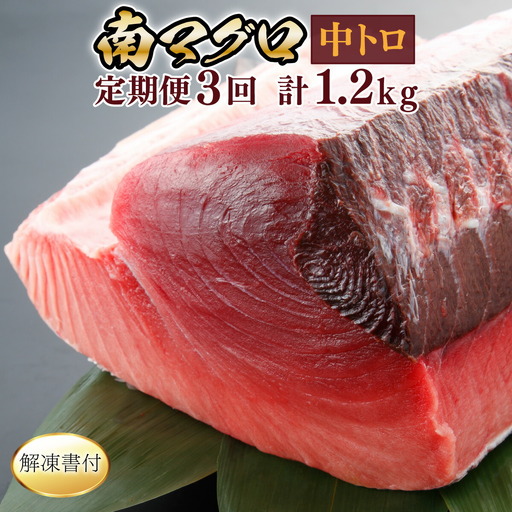 【定期便/計3回】天然南マグロ中トロ(2柵)【まぐろ】eb020