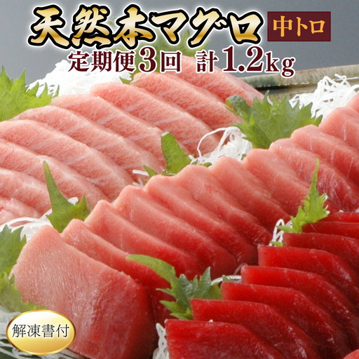 【定期便/計3回】本マグロ 中トロ2柵（400g）【まぐろ】eb022 | 高知県室戸市 | ふるさと納税サイト「ふるなび」